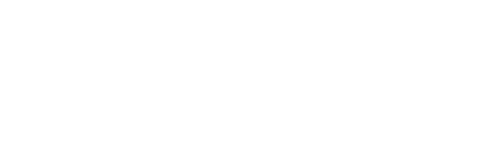 NIKII Customs
